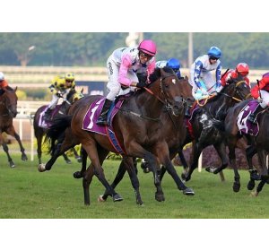Exploring Online Horse Betting with Singapore Race Cards: Uncovering Hidden Opportunities